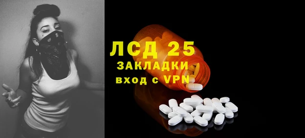 кокс Алзамай