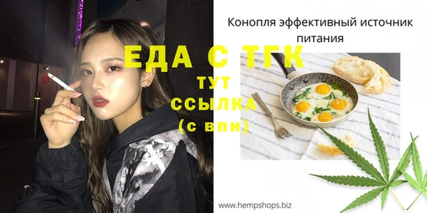 гидра Вязьма