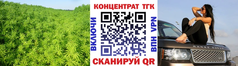 МЕГА зеркало Череповец ТГК концентрат