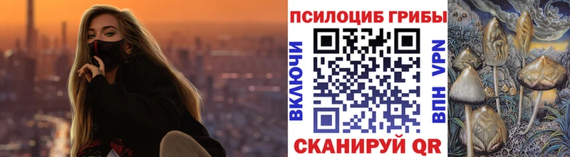 как найти наркотики Череповец OMG ONION Псилоцибиновые грибы Magic Shrooms
