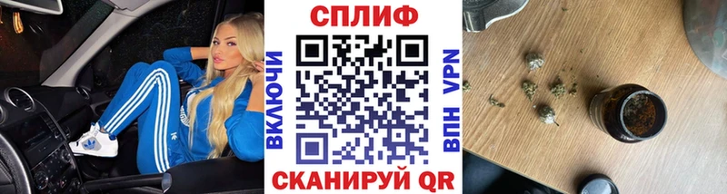 Конопля сатива закладка Череповец
